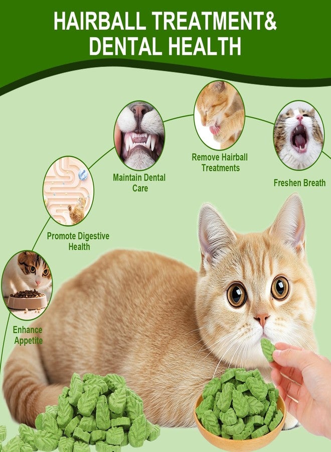 SuPruida 80g Cat Grass Treats for Indoor Cats, Freezed Drying Cat Grass Teething Stick for Hairball Remove Treatment Teeth Cleaning and Dental Care, Edible Kitty Chew Toy Snack - Image 3